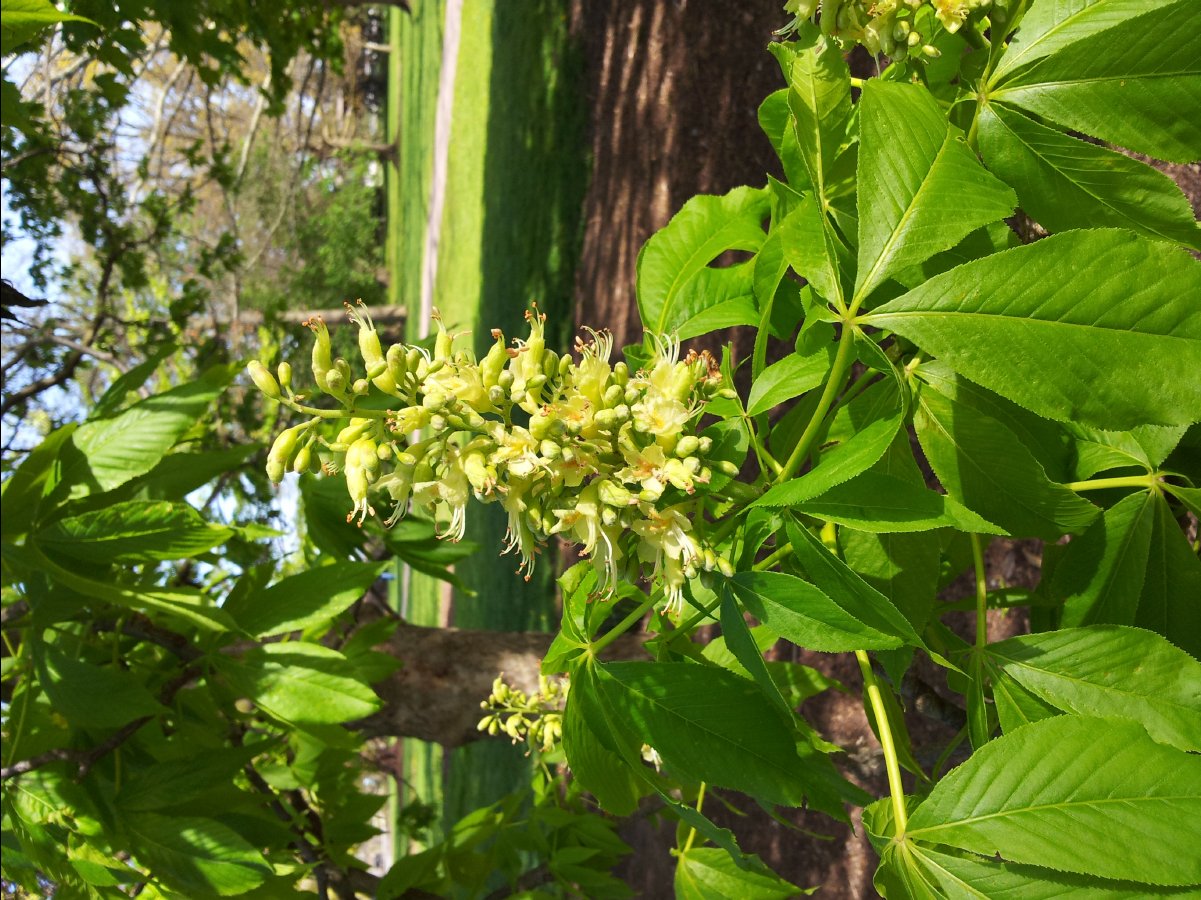 School of Gardening15